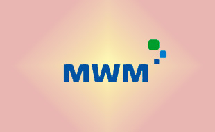 ✓ MWM 4295536 Шестерня воздушного компрессора 